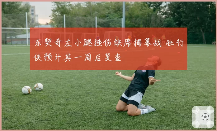 东契奇左小腿挫伤缺席揭幕战 独行侠预计其一周后复查