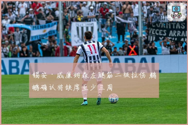 锡安·威廉姆森左腿筋二级拉伤 鹈鹕确认将缺席至少三周