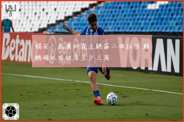 锡安·威廉姆森左腿筋二级拉伤 鹈鹕确认将缺席至少三周